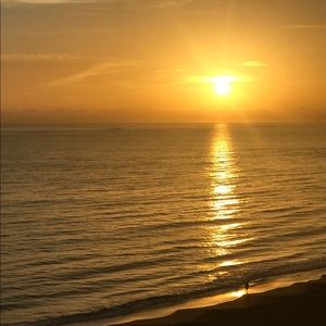 Meet your Posher, Felicia